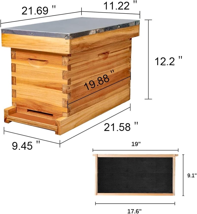 MayBee 5-Frame Nuc Beehive for Bees Complete Bee Hive Box Kit with Metal Roof Includes Wooden Frames & Waxed Foundations for Langstroth Beekeeping - Image 5